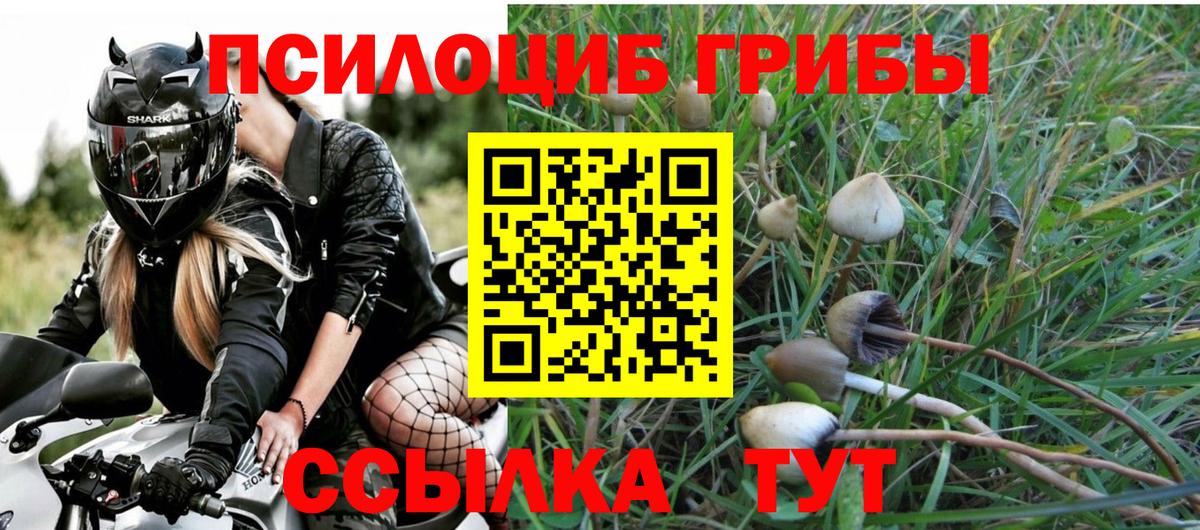 Нурлат  Псилоцибиновые грибы прущие грибы  Вход с VPN 