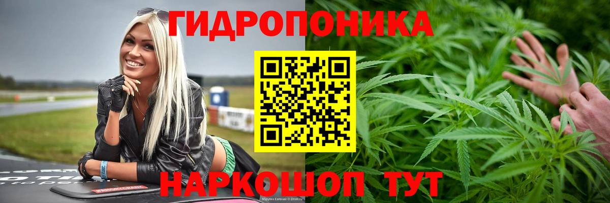 Конопля план Нурлат
